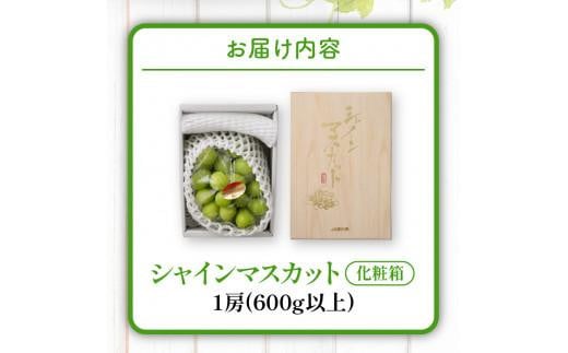 シャインマスカット 化粧箱 1房 ( 600g以上 ) 【2024-8月下旬～2024-9月下旬配送】