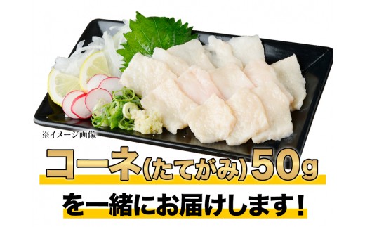 赤身馬刺し500g以上【純国産熊本肥育】 《3-7営業日以内に出荷予定(土日祝除く)》 たっぷり500g以上 約100g前後×5ブロック(タレ5ml×10袋) 2個お申込みでコーネ(たてがみ) 50gも一緒にお届け