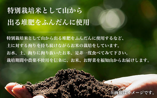 【令和6年産新米】京都丹波福知山産 はるまる農園のミルキークイーン 5kg ／ ふるさと納税 精米 米 こめ ご飯 ごはん 白米 ミルキークイーン 京都府 福知山市 FCCN014