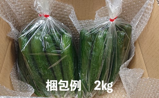 新鮮きゅうり2kg【特別栽培農産物】