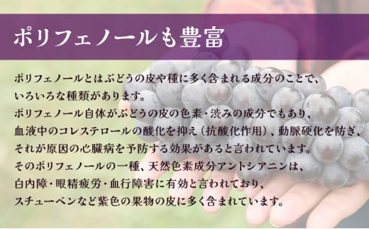 [№5554-0187]芽実農園のぶどうジュース（スチューベン100％）720ml×2本 青森県鶴田町産スチューベン使用