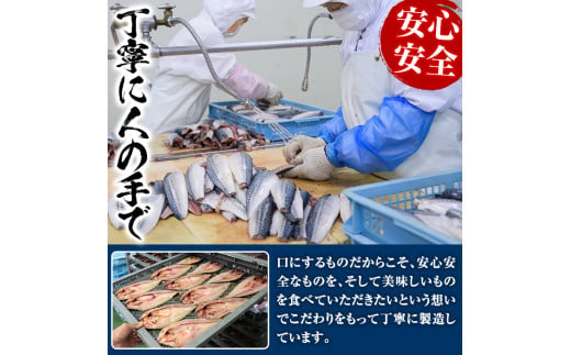 海のめぐみ干物セット(7種・合計19尾) 大容量 ひもの さば 鯖 サバ ほっけ あじ アジ 魚介 おかず おつまみ【グローバルフーズ】a-12-123-z