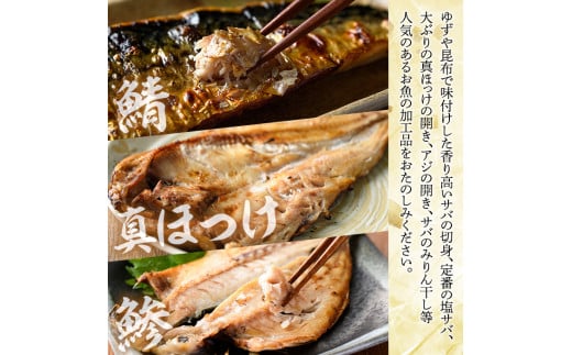 海のめぐみ干物セット(7種・合計19尾) 大容量 ひもの さば 鯖 サバ ほっけ あじ アジ 魚介 おかず おつまみ【グローバルフーズ】a-12-123-z