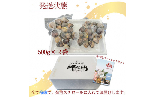 岬だよりの 希少 天然はまぐり 小サイズ 500g×2袋