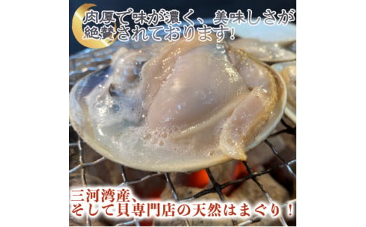 岬だよりの 希少 天然はまぐり 小サイズ 500g×2袋