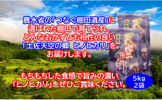 農林水産省の「つなぐ棚田遺産」に選ばれた棚田で育てられた棚田米　土佐天空の郷　ヒノヒカリ　10kg