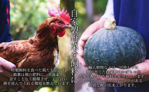 国産飼料にこだわった鶏が産む安全安心の 『レモン色たまご』1パック（10個入り）×6