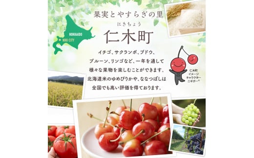 無地熨斗 ポートランド リンゴ ジュース 飲み比べ 180ml 計20本 のし付き 常盤色の瞳 ぶどう 浅黄色の愁 りんご 果汁 100 ジュース ギフト 果汁100 葡萄 林檎 自然農園 お取り寄せ ギフト のし