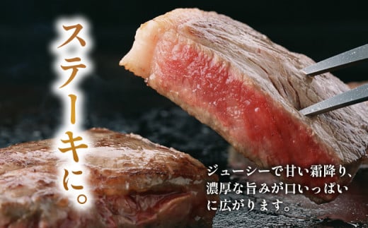 飛騨牛 ロースステーキ 380g (190g×2枚) A5等級 A4等級 肉のひぐち 20000円