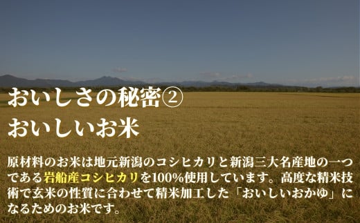 【先行予約】 〈2025年3月以降順次発送〉 桜がゆ 250g×10個入 お粥 レトルト ダイエット 新潟県 五泉市 株式会社ヒカリ食品