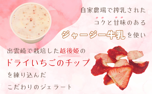 越後姫を使用した「ジェラート＆いちごのコンフィチュール（ジャム）」