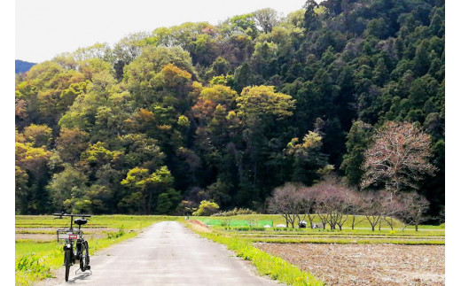 【電動アシスト自転車でラクラク！】ガイド付き観光サイクリングツアー（ペアチケット）＜サイクリングホリデー小川町＞【埼玉県小川町】[142]