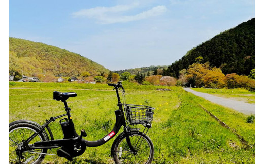 【電動アシスト自転車でラクラク！】ガイド付き観光サイクリングツアー（ペアチケット）＜サイクリングホリデー小川町＞【埼玉県小川町】[142]