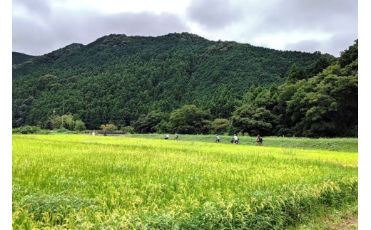 【電動アシスト自転車でラクラク！】ガイド付き観光サイクリングツアー（ペアチケット）＜サイクリングホリデー小川町＞【埼玉県小川町】[142]