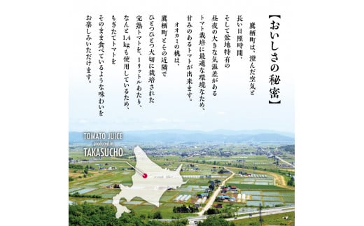 A001　トマトジュース 3本セット 有塩 オオカミの桃 国産 日本産 北海道 鷹栖町産 完熟トマト 100% 伝統の味 パイオニア ﾄﾏﾄｼﾞｭｰｽ