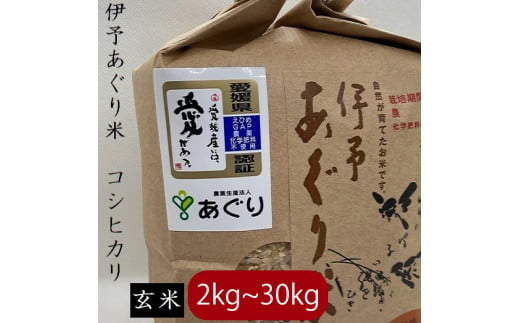 【新米】【選べるキロ数】米 玄米 30kg 伊予あぐり米「コシヒカリ」 令和6年産 米 農薬・化学肥料不使用 ｜米 玄米 令和6年産 米 お米 こめ 農薬・化学肥料不使用 こだわりのお米  愛媛県 松前町 松前 まさき 愛媛 えひめ おこめ 有限会社あぐり 愛媛県産米 松前町産米 美味しいお米   お米 贈答 贈り物 愛媛県 松前町 有限会社あぐり　