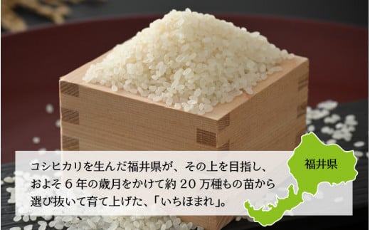 令和6年産 福井県の新しいブランド米 いちほまれ2kg ×1袋 [A-015009]