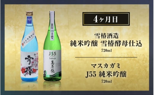 【定期便12ヶ月毎月お届け】【20セット限定】 日本酒3蔵飲み比べセット 24本（720ml×2本×12ヶ月）《2025年1月以降順次発送》マスカガミ 雪椿酒造 加茂錦酒造 贈答 加茂市 マルダイ有本 定期便