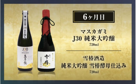 【定期便12ヶ月毎月お届け】【20セット限定】 日本酒3蔵飲み比べセット 24本（720ml×2本×12ヶ月）《2025年1月以降順次発送》マスカガミ 雪椿酒造 加茂錦酒造 贈答 加茂市 マルダイ有本 定期便