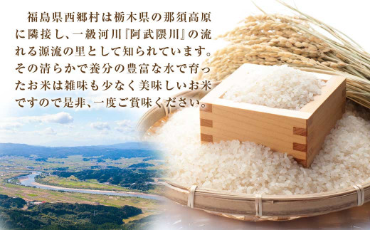 食べ比べセット！＜令和5年産＞ひとめぼれ&天のつぶ　5kg×2袋　精米10kg　【07461-0022】