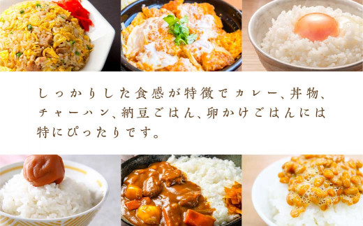 食べ比べセット！＜令和5年産＞ひとめぼれ&天のつぶ　5kg×2袋　精米10kg　【07461-0022】