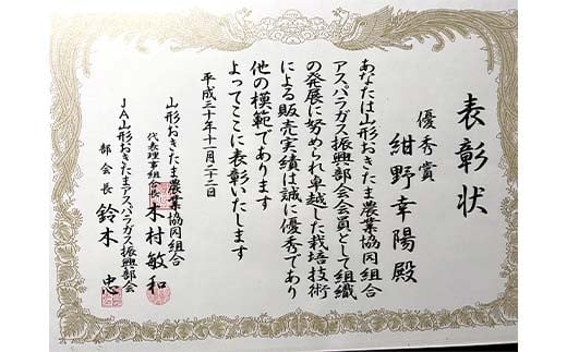 【令和7年産先行予約】 アスパラガス (春芽) 約1kg (2Lサイズ  約25～30本前後) 《令和7年5月～発送》 『生産者 紺野 幸陽』 グリーン 山形南陽産 農家直送 山形県 南陽市 [2242]