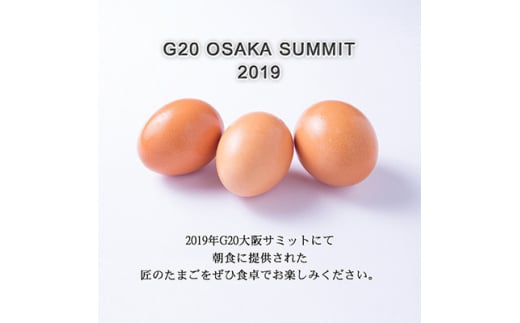 匠のたまご30個入り(10個入り×3P)辰巳悦司養鶏場　G20大阪サミット朝食に使用された卵【1292602】