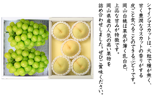 74-15岡山県産 岡山白桃5玉とシャインマスカット2房セット【2024年7月中旬～8月上旬発送予定】