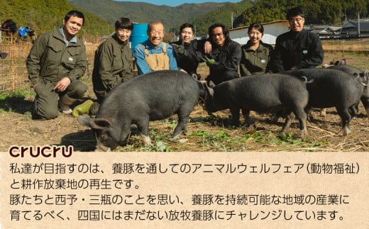 ＜奥地ほうぼく豚を使ったベーコンセット＞豚肉 ぶた お肉 加工品 おつまみ おかず ベーコン 七味ベーコン ボイルウインナー バラ肉 ブロック 詰合せ BBQ アウトドア キャンプ サラダ 愛媛県 西予市 【冷蔵】『3か月以内に順次出荷予定』