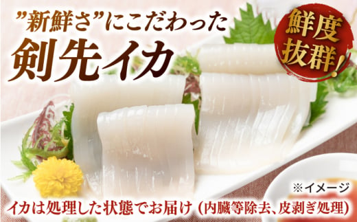 剣先イカ 5本 セット【丸徳水産】《対馬市》鮮度抜群 新鮮 ケンサキイカ シロイカ 下処理済 刺身 BBQ 惣菜 天ぷら フライ 海鮮 [WAE011]冷凍 あかいか 剣先いか 簡単調理 もう1品 処理済 まるいか 魚介 時短 煮物 和食 