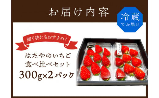 ★先行予約★はたやのいちご　食べ比べセット[12月下旬より順次発送]《 いちご 苺 高級 フルーツ イチゴ フルーツ工房はたや 章姫 あまえくぼ あまクイーン 紅クイーン ロイヤルクイーン 》【2401C09701】