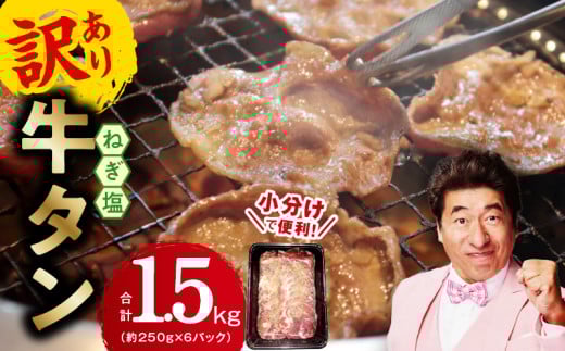1位獲得】牛たん 1.5kg ねぎ塩味 小分け 250g×6【成型 牛タン 1位獲得】牛たん 1.5kg ねぎ塩味 小分け 250g×6【成型 牛タン