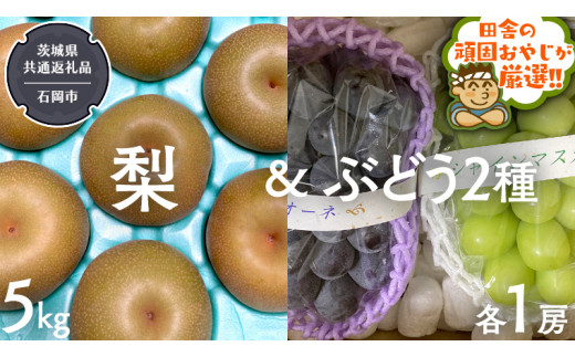 梨5kg と ぶどう 2品種(各1房)【令和6年8月より発送開始】（茨城県共通返礼品：石岡市産） 詰め合わせ 果物 フルーツ 茨城県産