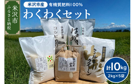 《 新米 》【 令和6年産 新米 】 わくわくセット 計 10kg 〔 つや姫 ササニシキ ミルキークイーン はえぬき コシヒカリ 各 2kg 〕 農家直送 2024年産