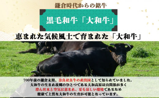 J01 奈良県産 大和牛 肩ロース すき焼き用 500g 【毎月数量限定】 |  肉 にく ニク お肉 おにく オニク 牛肉 和牛 取り寄せ グルメ おうち時間 贅沢  和食 祝 すきやき 奈良県 御杖村