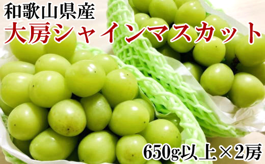 【数量限定】和歌山県産大房シャインマスカット2房入り（1房650g×2房）　※2024年9月初旬から9月下旬頃順次発送 【tec940】