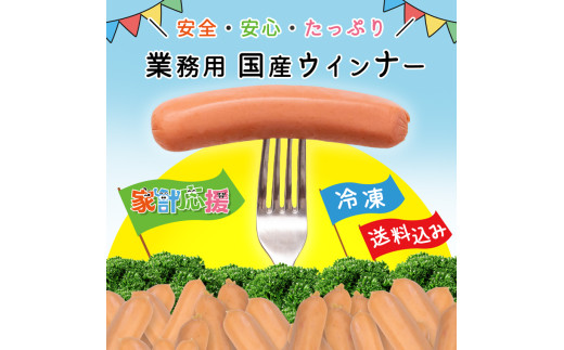 訳あり ソーセージ ウインナー 1kg 冷凍 食品 国産 業務用 メガ 大量 大容量 訳あり 食品 おつまみ 肉 豚肉 ウインナーソーセージ おかず 惣菜 お弁当 食品 ストック 常備品 ホットドッグ BBQ バーベキュー 焼肉 (DV030)