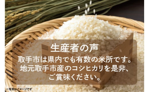 【11月中旬より順次発送】【令和6年度産】取手市産 コシヒカリ 7kg | 米 精米 白米 こしひかり JA 茨城県 取手市 （AR001）