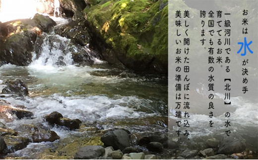 【3ヶ月連続】令和4年産福井県若狭町コシヒカリ（一等米）5kg（山心ファーム） [№5580-0539]