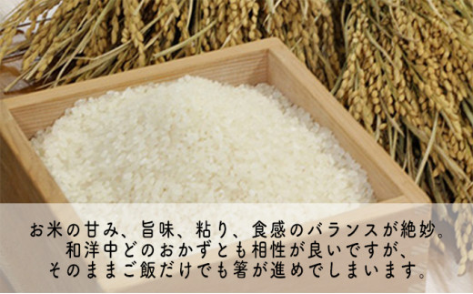 【3ヶ月連続】令和4年産福井県若狭町コシヒカリ（一等米）5kg（山心ファーム） [№5580-0539]