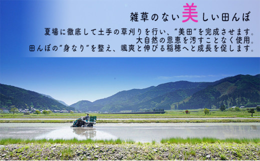 【3ヶ月連続】令和4年産福井県若狭町コシヒカリ（一等米）5kg（山心ファーム） [№5580-0539]