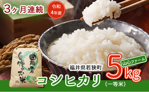 【3ヶ月連続】令和4年産福井県若狭町コシヒカリ（一等米）5kg（山心ファーム） [№5580-0539]