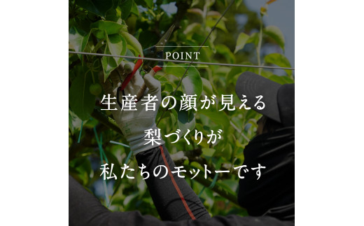 【ID02_03】鳥取県南部町産　井田農園の新興[梨]　（3kg箱）＜令和7年3月出荷＞