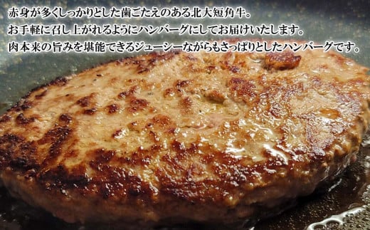  北海道産 北大 短角牛 ハンバーグ 計 540g (180g×3枚) 日本短角牛 ハンバーグステーキ 牛肉 希少 北海道大学  