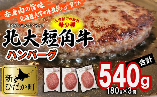  北海道産 北大 短角牛 ハンバーグ 計 540g (180g×3枚) 日本短角牛 ハンバーグステーキ 牛肉 希少 北海道大学  