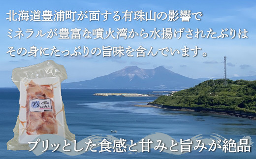 ぶり切身 約200g x 5パック 北海道 噴火湾産 【 ふるさと納税 人気 おすすめ ランキング 魚介類 魚 ブリ 鰤 刺身 パック 大容量 おいしい 美味しい 新鮮 北海道 豊浦町 送料無料 】 TYUR026