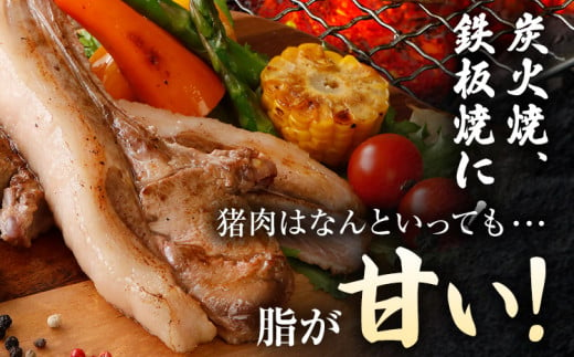 猪肉スペアリブ 約900g（約300g×3）ジビエ 猪 いのしし 骨付き 焼肉 焼き肉 アウトドア BBQ みやこ肉 獣 キャンプ イノシシ肉 炭火焼き 鉄板焼き 煮込み グリル