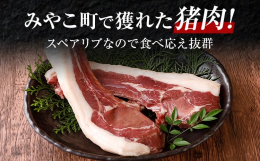 猪肉スペアリブ 約900g（約300g×3）ジビエ 猪 いのしし 骨付き 焼肉 焼き肉 アウトドア BBQ みやこ肉 獣 キャンプ イノシシ肉 炭火焼き 鉄板焼き 煮込み グリル