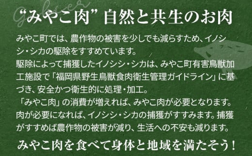 猪肉スペアリブ 約900g（約300g×3）ジビエ 猪 いのしし 骨付き 焼肉 焼き肉 アウトドア BBQ みやこ肉 獣 キャンプ イノシシ肉 炭火焼き 鉄板焼き 煮込み グリル