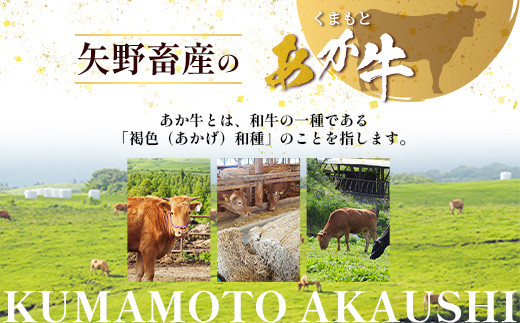 くまもとあか牛 詰合せBセット 《 切り落とし500g・すき焼きしゃぶしゃぶ用500g 》  計1kg  熊本県 ブランド牛 肉 ヘルシー 赤身 牛肉 105-0509